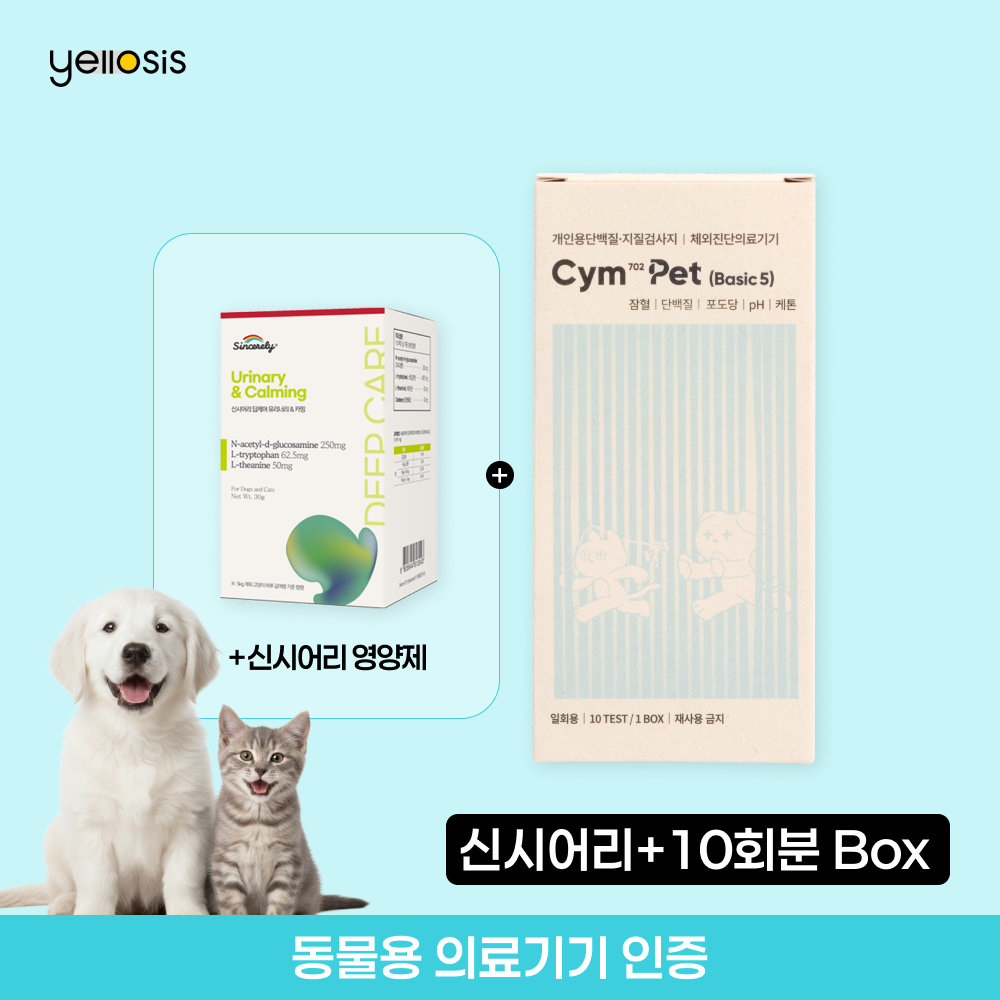 반려동물 소변검사 박스 10회 강아지 고양이 건강검진 5종 옐로시스 Cym702 Pet - 메인 이미지