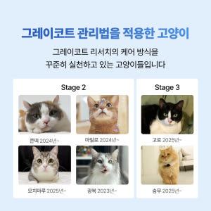 야옹섬 고양이 영양제 AIM 신장 집중 케어 세트 상황별 신부전 관리 솔직 후기 | 실제 사용자 리뷰 총정리 - 상품 이미지 4