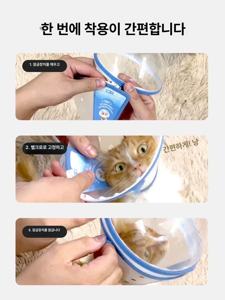 안전 강아지 헬멧 S 보호구 모자 노견 시각장애견 S 1.0kg 이하 새끼 고양이 강아지 고양이 강아지 - 상세 이미지 4