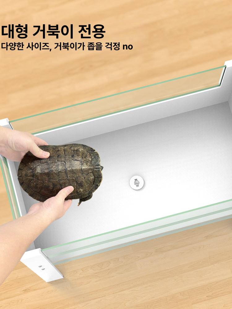 거북이어항 대형 반수생 물고기 수조 연못 생태 파충류 100cm - 상세 이미지 5