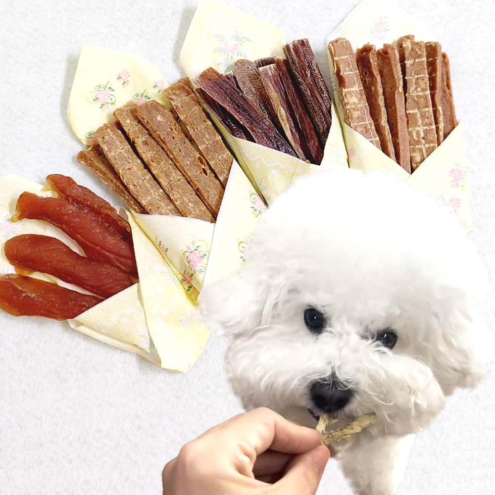 강아지 수제간식 10종 국내산 부드러운 애견 반려견 간식 노견 소형견 펫 치킨 보양식