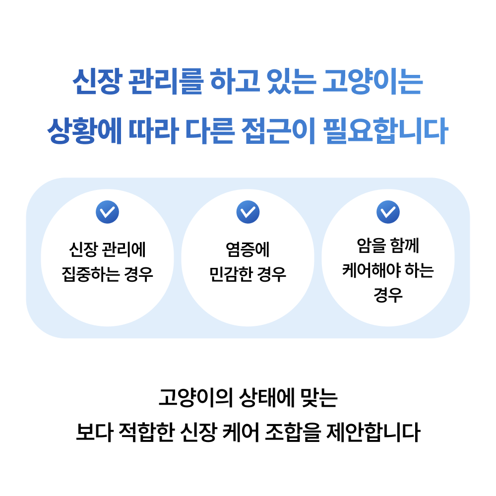 야옹섬 고양이 영양제 AIM 신장 집중 케어 세트 상황별 신부전 관리 이미지 2