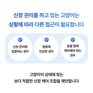 야옹섬 고양이 영양제 AIM 신장 집중 케어 세트 상황별 신부전 관리 솔직 후기 | 실제 사용자 리뷰 총정리 - 상품 이미지 2
