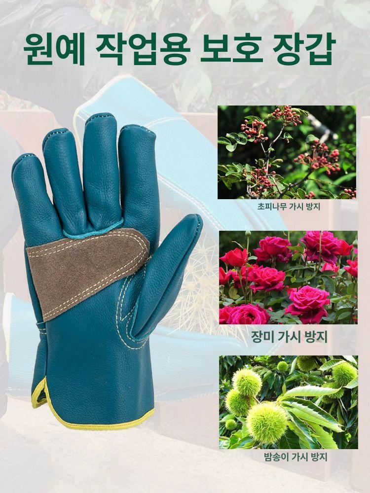 가시장갑 엄나무 밤줍기 원예 찔림방지 작업용 - 상세 이미지 5