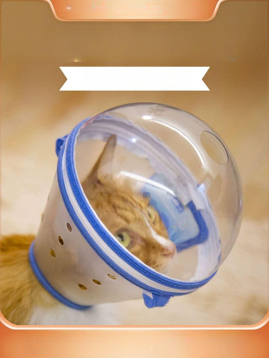 안전 강아지 헬멧 S 보호구 모자 노견 시각장애견 S 1.0kg 이하 새끼 고양이 강아지 고양이 강아지 - 상품 이미지