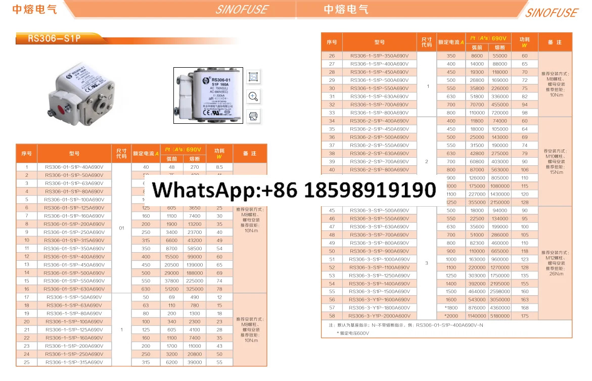 시안 중론 RS306 01 S1P 200A 250A 350A 400A 500A 690V 700V