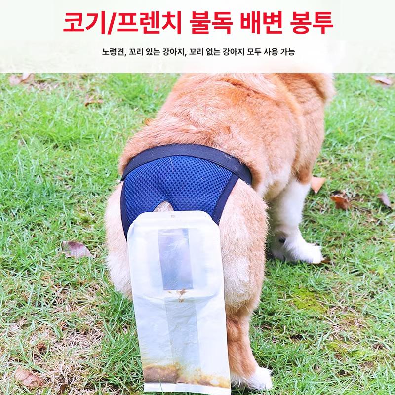 몬트리 외출 애견 똥 기저귀 산책 노견 팬티 중 강아지 S 2.5-7.5kg 중간 - 상세 이미지 3