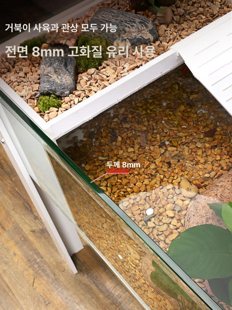 거북이어항 대형 반수생 물고기 수조 연못 생태 파충류 100cm - 상세 이미지 4
