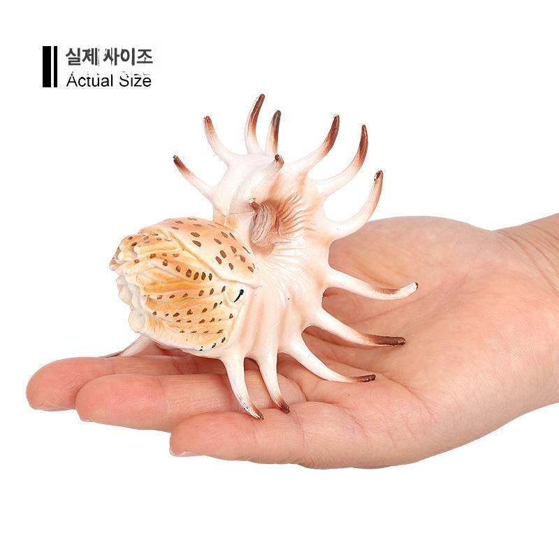 고대생물 해양동물 앵무조개 과학 교육 피규어 암모나이트 15개 세트 - 상세 이미지 3