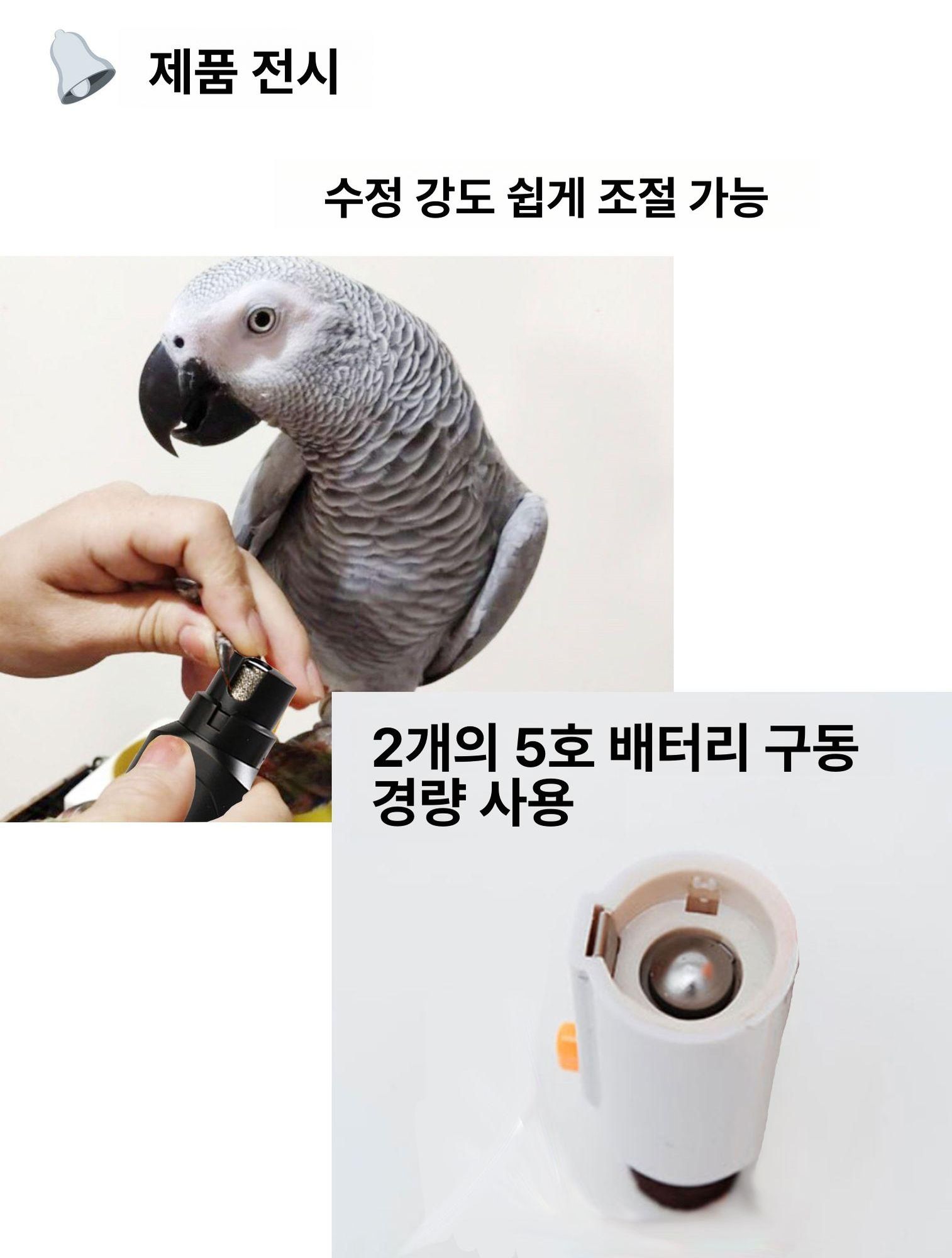 스마트 전동 새 발톱깎이 앵무새 그라인더 조류 용품 손톱 배터리 포함 손톱 파일 - 상세 이미지 5