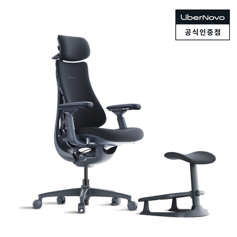 다이나믹 인체공학 의자 LiberNovo Omni Combo 리버노보 옴니 콤보