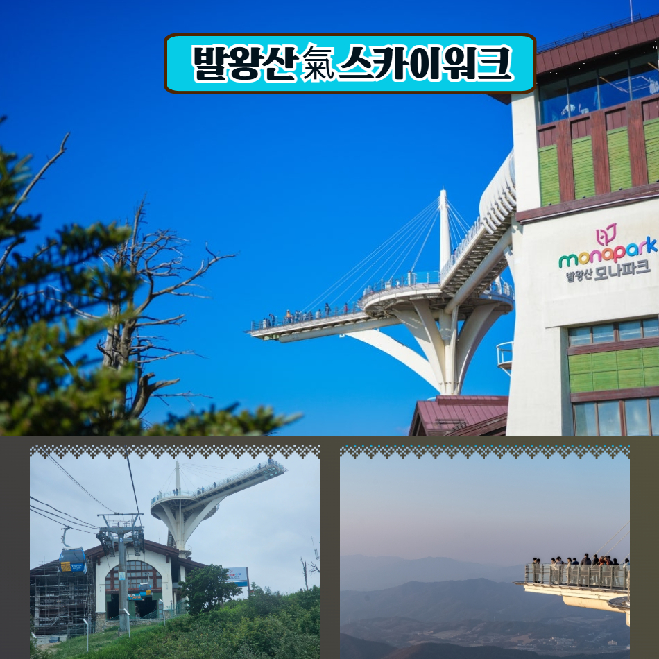 [신록의 계절 당일기차] 발왕산 케이블카 & 천년주목나무 숲길&동해 도째비골 스카이위크 이미지 7