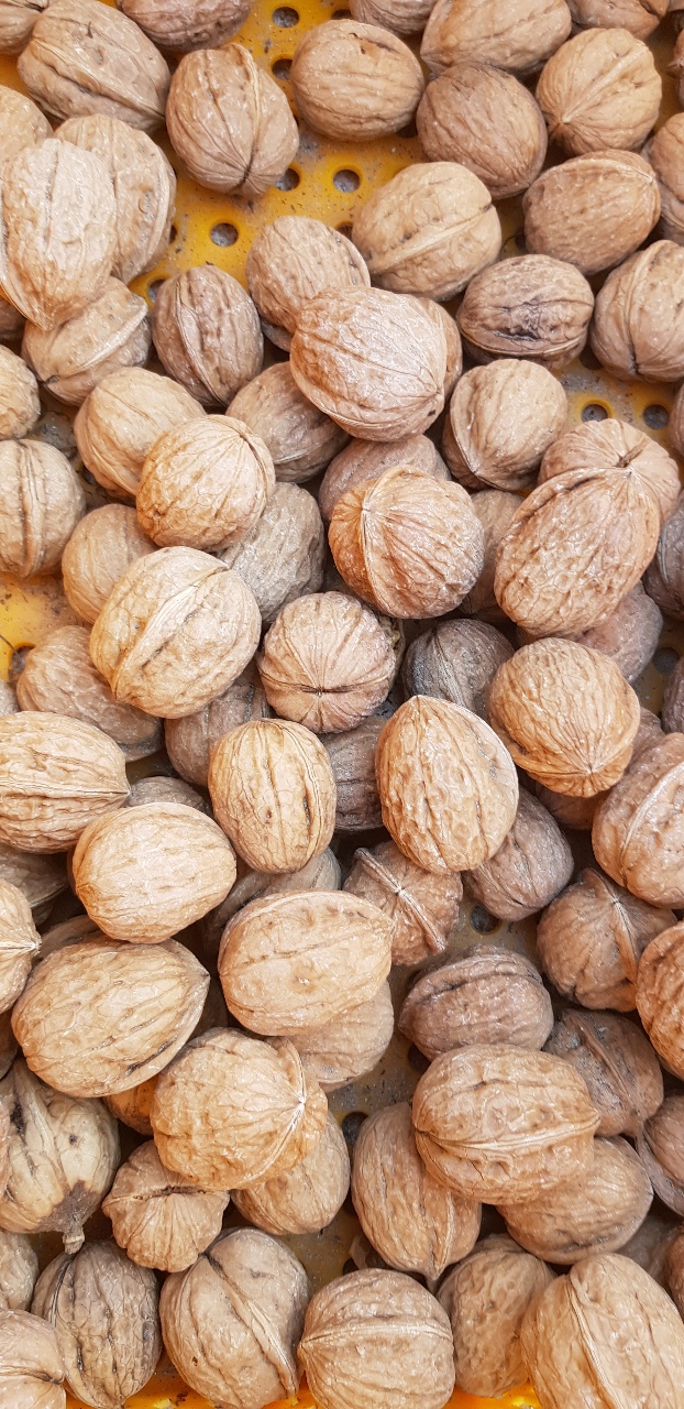 햇 캘리포니아 알 견과류 분태 반태 호두 피호두 1kg 2kg - 상세 이미지 4