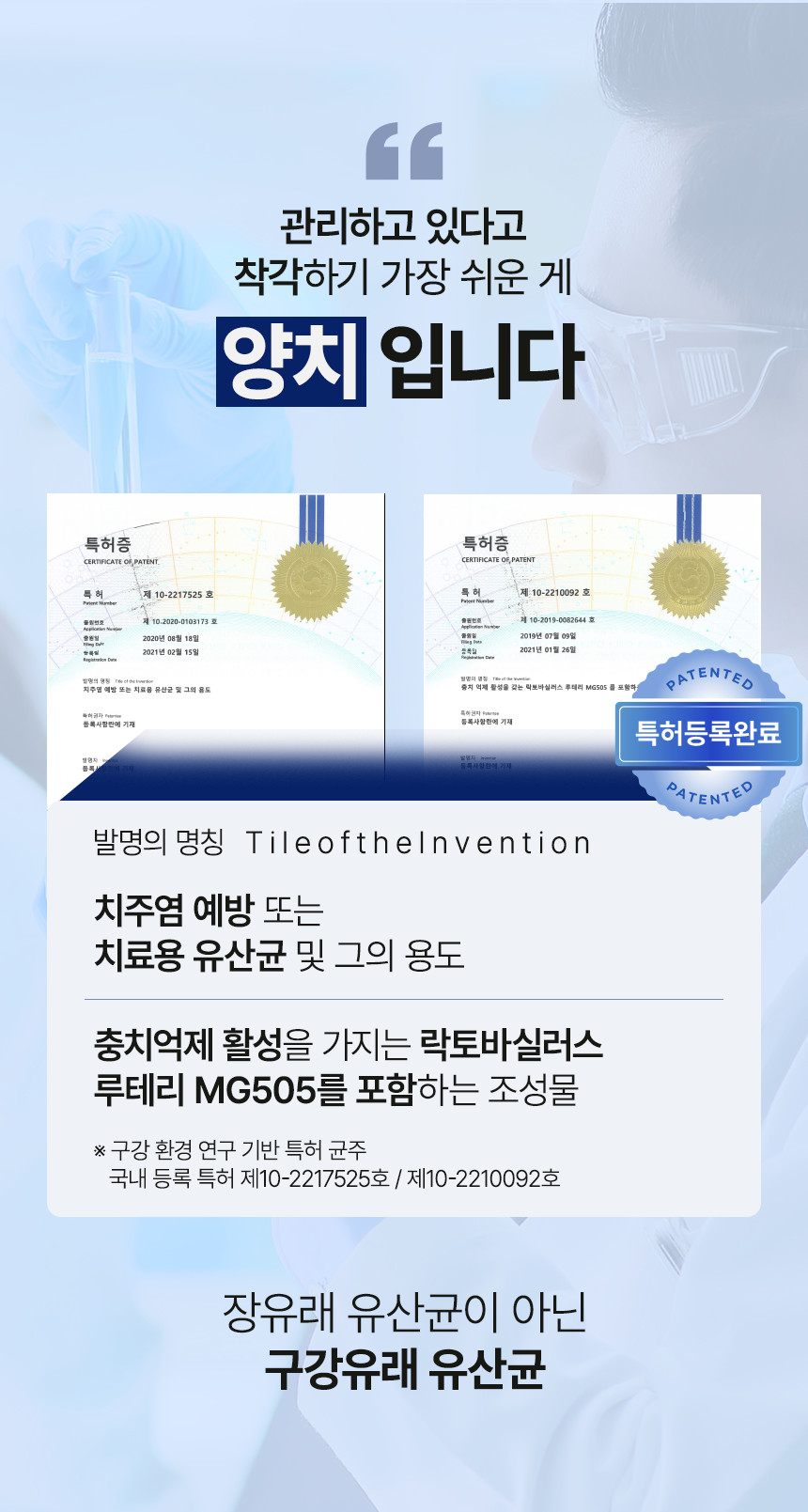 구강유산균 잇몸유산균 30정, 5개 - 상세 이미지 5