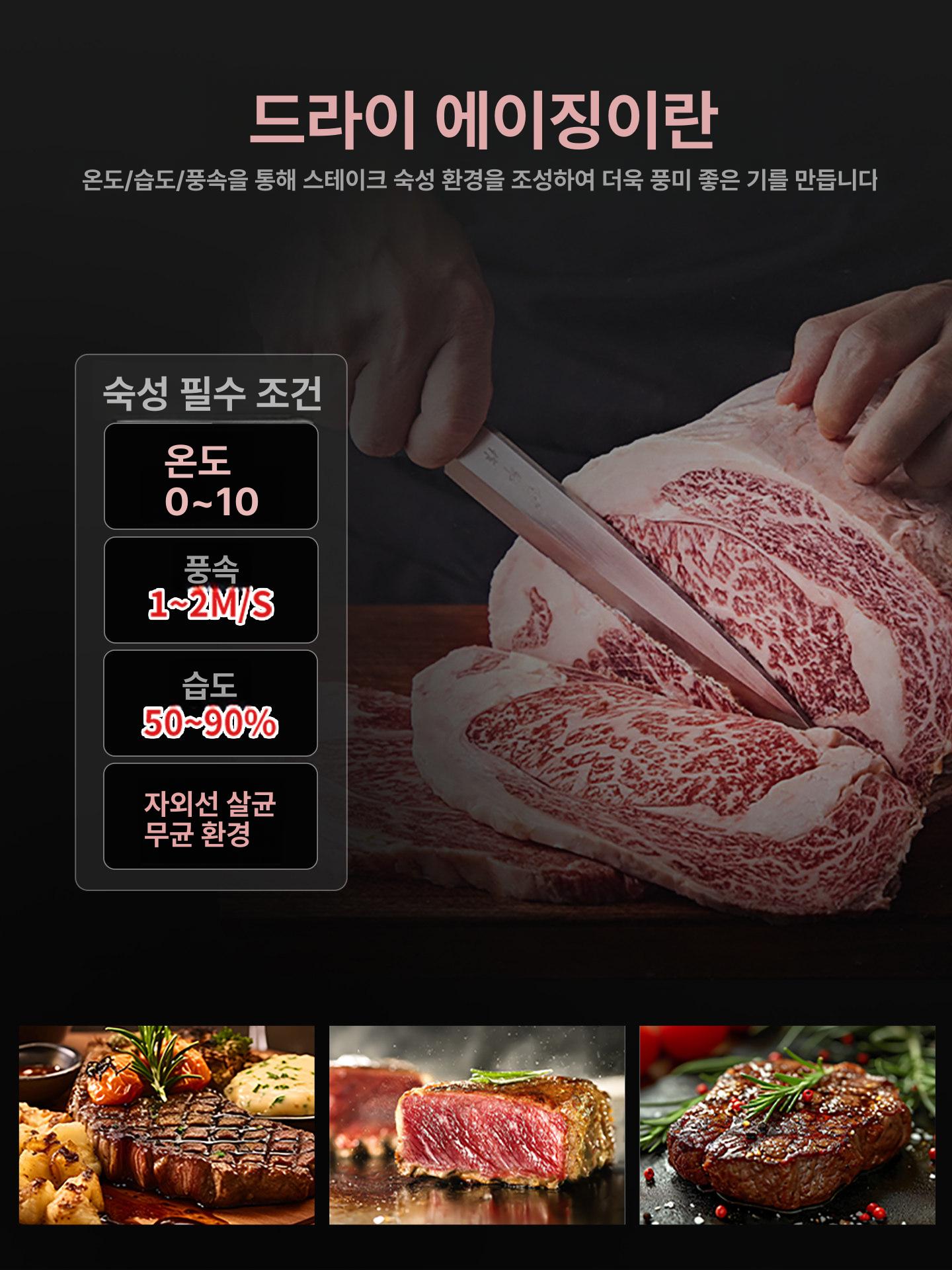 업소용 고기 숙성고 냉장고 드라이에이징 230L 단일문 0~10 - 상세 이미지 4