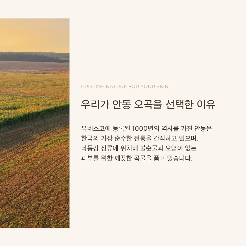 숙성 안동 오곡 발효 진정 수분 토너 205ml, 2개 - 상세 이미지 5