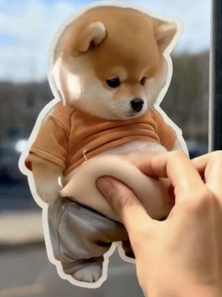 강아지 큰뱃살 쥐어짜기 해소 입체 크리에이티브 락 큐티 1번 대형 배 강아지 인형 - 상품 이미지