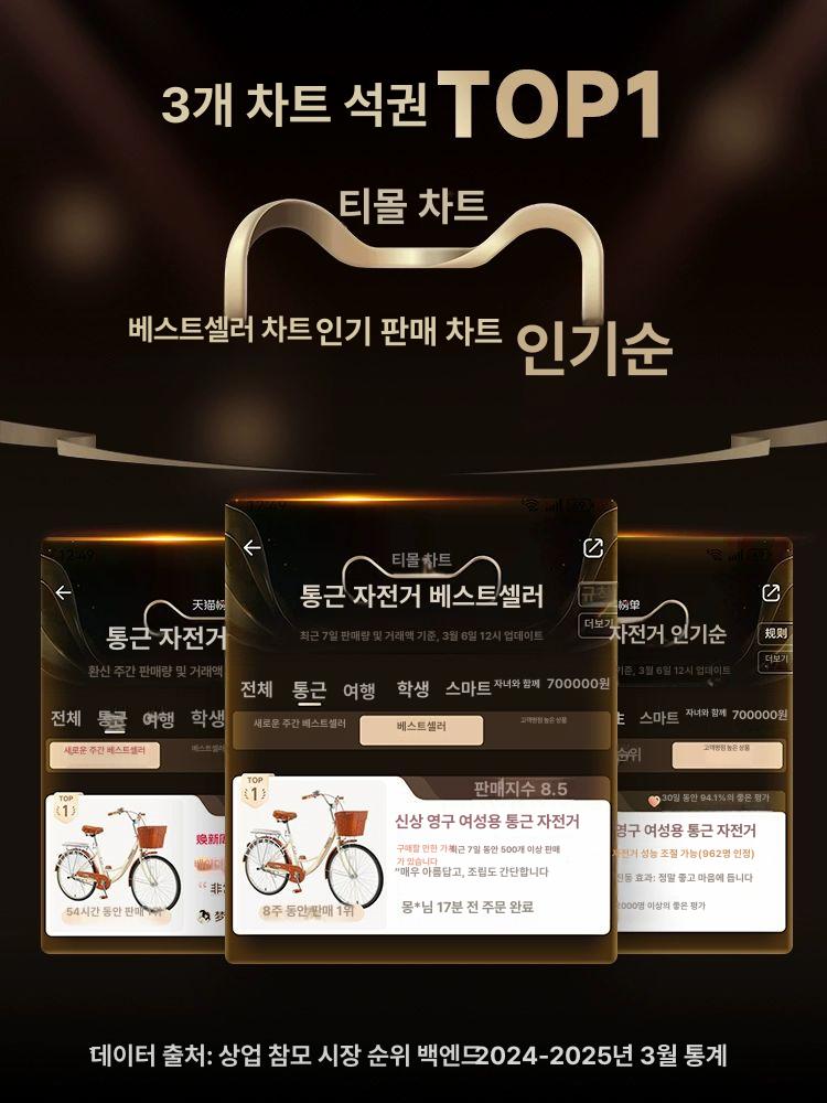 성인 여성용 클래식 자전거 바구니 26인치 - 상세 이미지 2