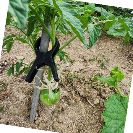 농사 고추집게 호박집게 오이 토마토 포도 줄기고정 1매