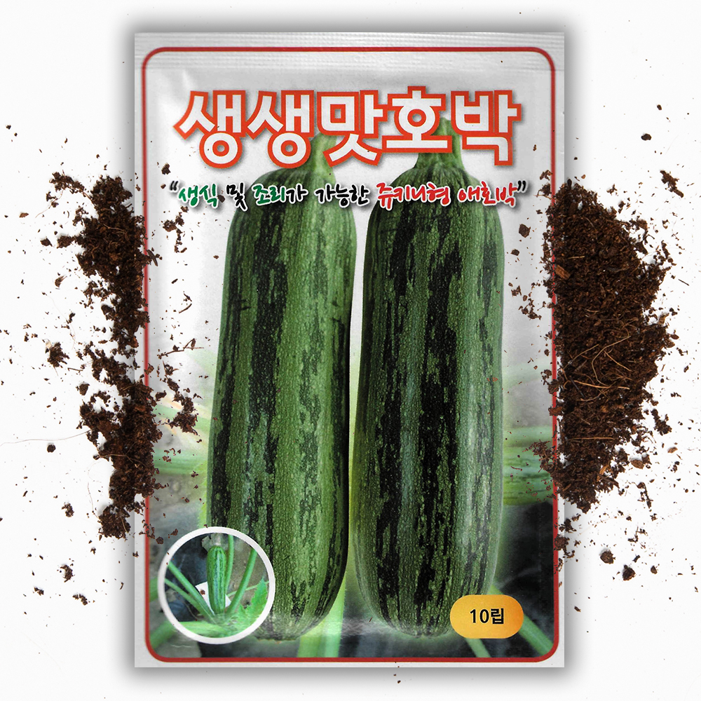 동원 생생맛 호박씨앗 10립 쥬키니와 애호박 장점만 교배종 애호박 씨앗 종자 - 상품 이미지