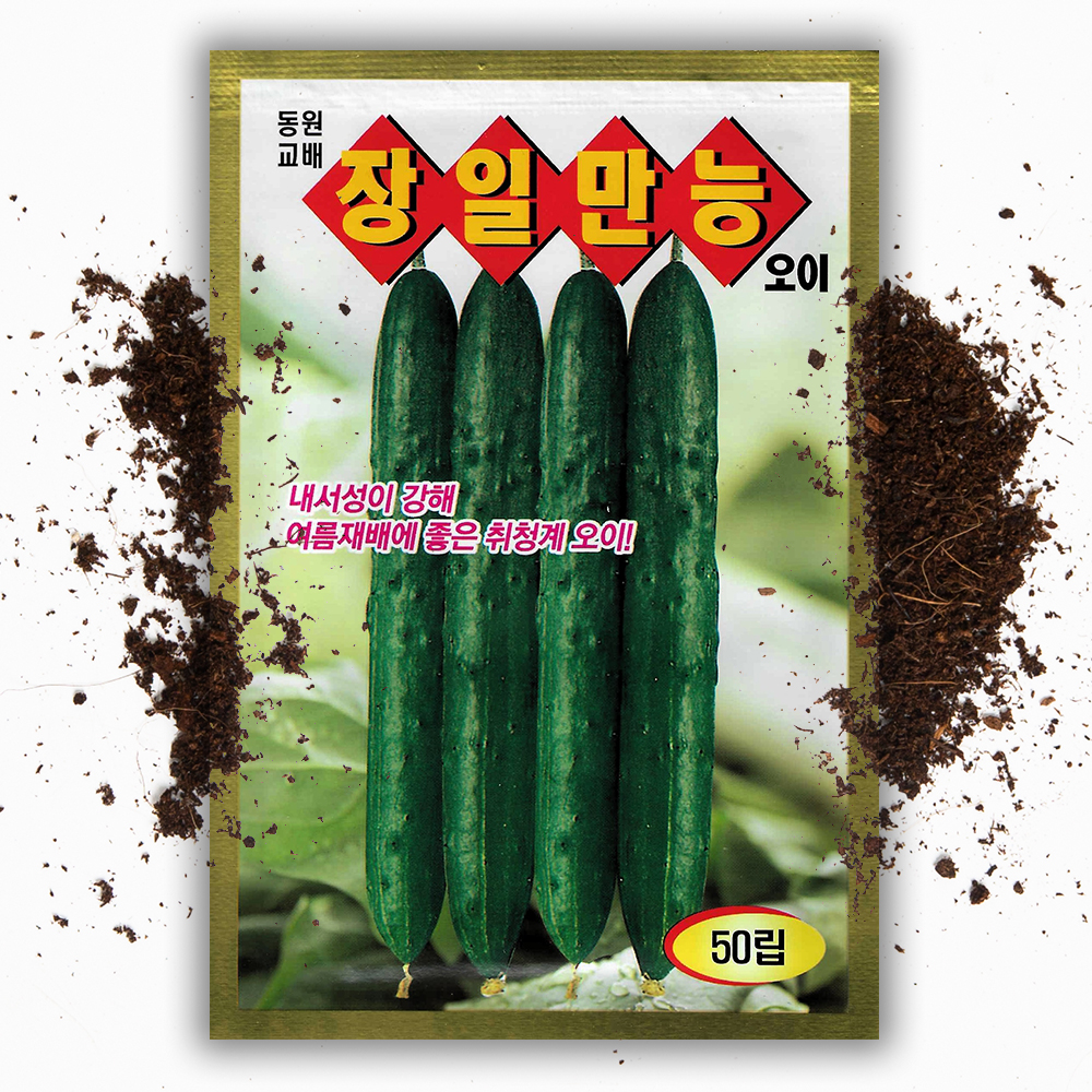 취청오이 씨앗 50 장일만능 여름오이 청 오이 씨앗 종자 - 상품 이미지