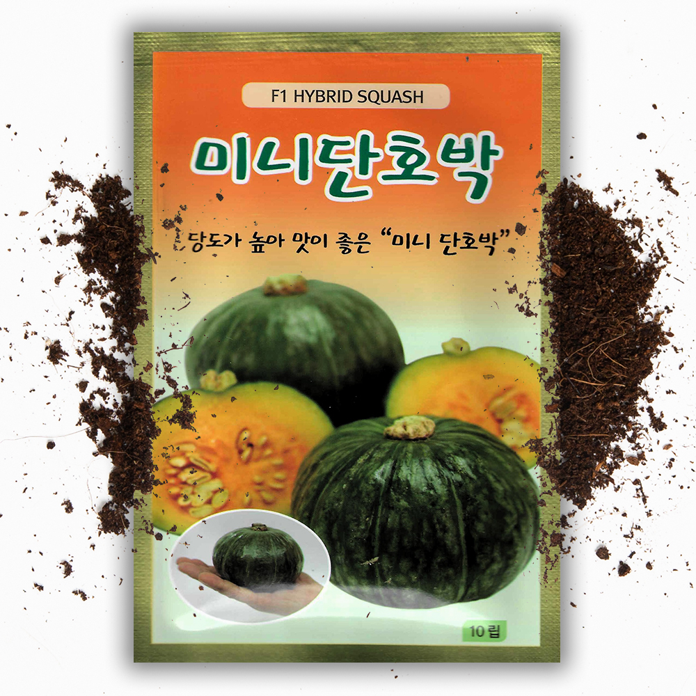 동원 미니 단호박씨앗 10립 당도가 높은 단호박 씨앗 종자 - 상품 이미지