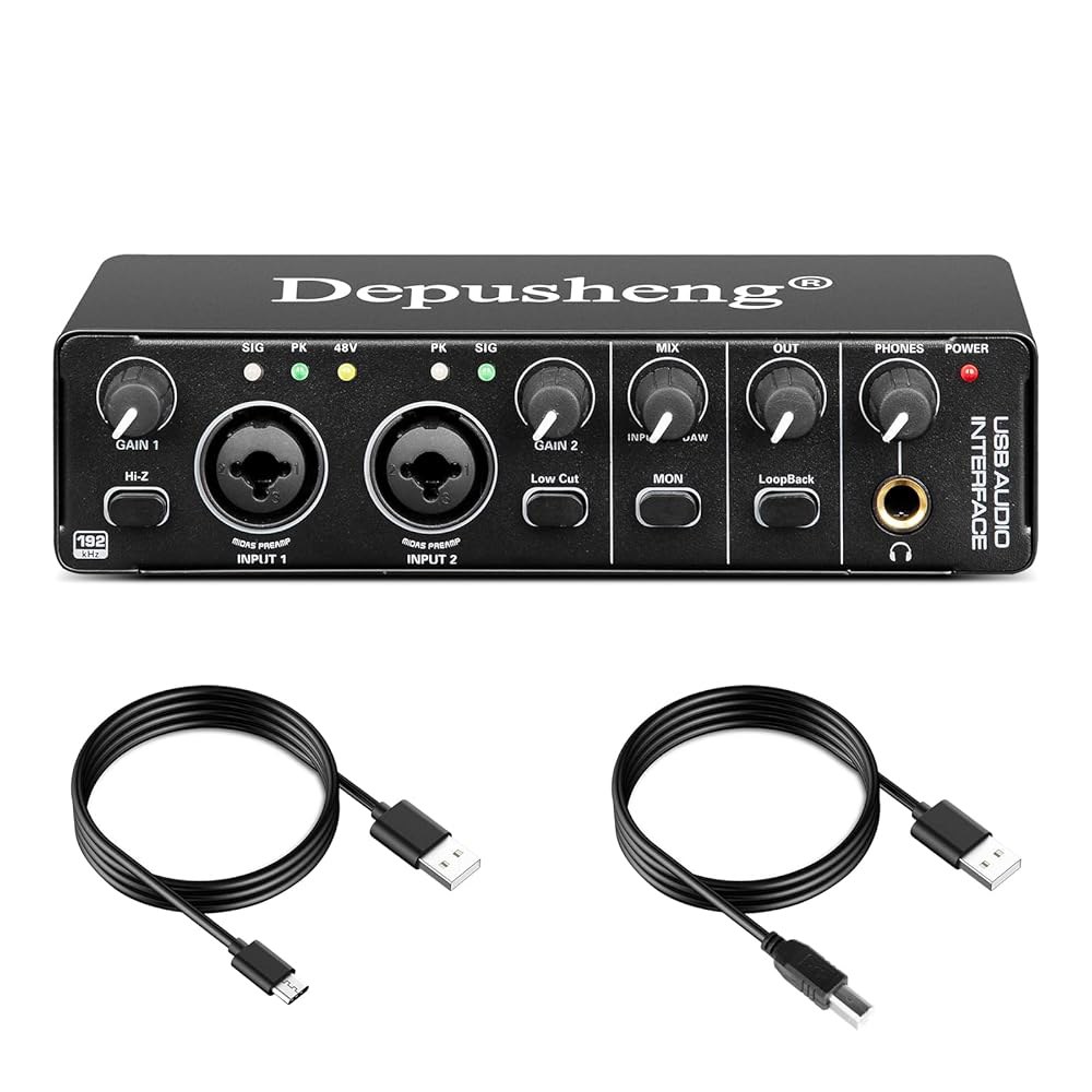 Depusheng RX2 usb 오디오 인터페이스 컴퓨터 녹음 사운드 카드, 홈 스튜디오 인터페이스, 48V 콘덴서 마이크, 기타 가능 RX2 - 상품 이미지