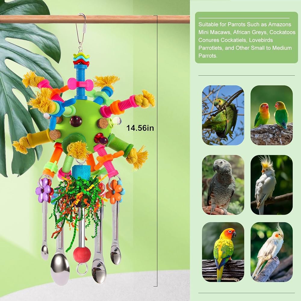 Parrot Toys 새 장난감 퍼치 및 츄 앵무새, 아마존 (그린) 그레이 앵무새 아프리카 스틱 풀 기타 있는 다채로운 코너레, 수 미니 스틸 스푼 마코 스테인리스 아크릴 - 상세 이미지 2