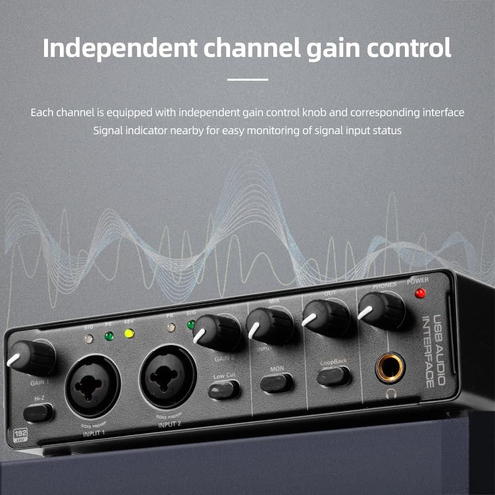 Depusheng RX2 usb 오디오 인터페이스 컴퓨터 녹음 사운드 카드, 홈 스튜디오 인터페이스, 48V 콘덴서 마이크, 기타 가능 RX2 - 상세 이미지 3