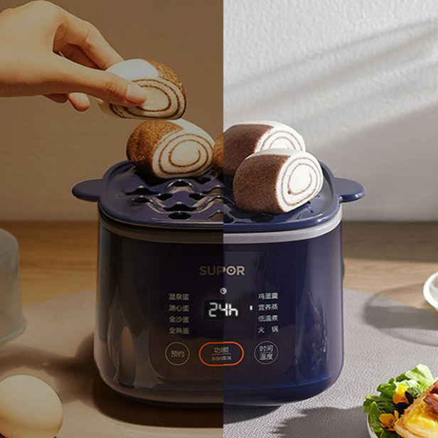 계란 삶는기계 소형 야채 에그 쿠커 식당 메이커 찜기