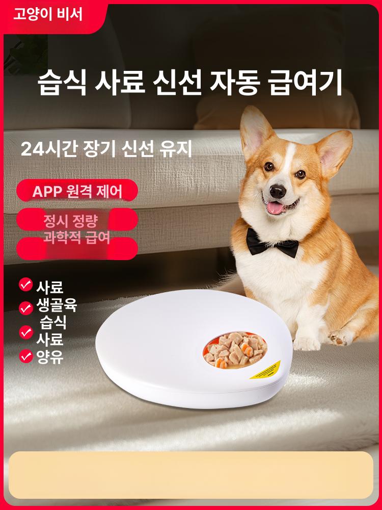 고양이용 급식기 습식/건식용 반려견용 스마트 앱 원격 WiFi 24시간 - 상세 이미지 2