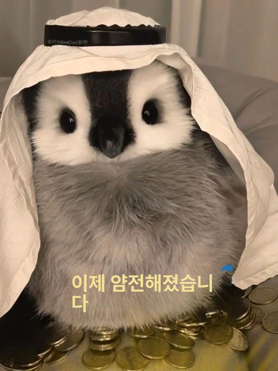 아기 펭귄 인형 애착 아기펭귄인형 선물 영국에서 유니크한 장식 귀여운 솜털 황제 미니 - 상세 이미지 3