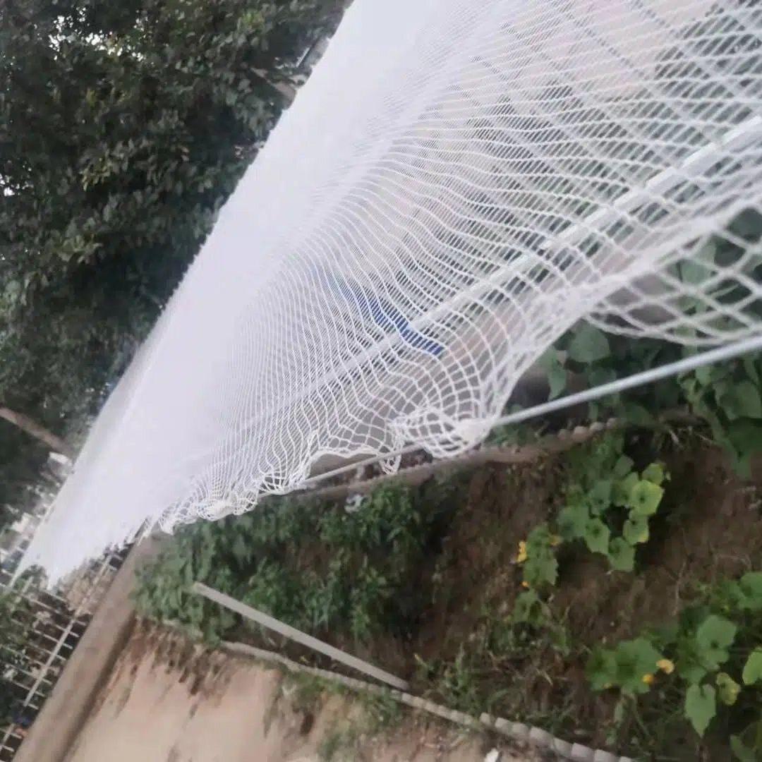 농업용 방충망 캠핑용 온실 보호망 작물 비닐하우스 망 폭 2m 길이 10m - 상세 이미지 4