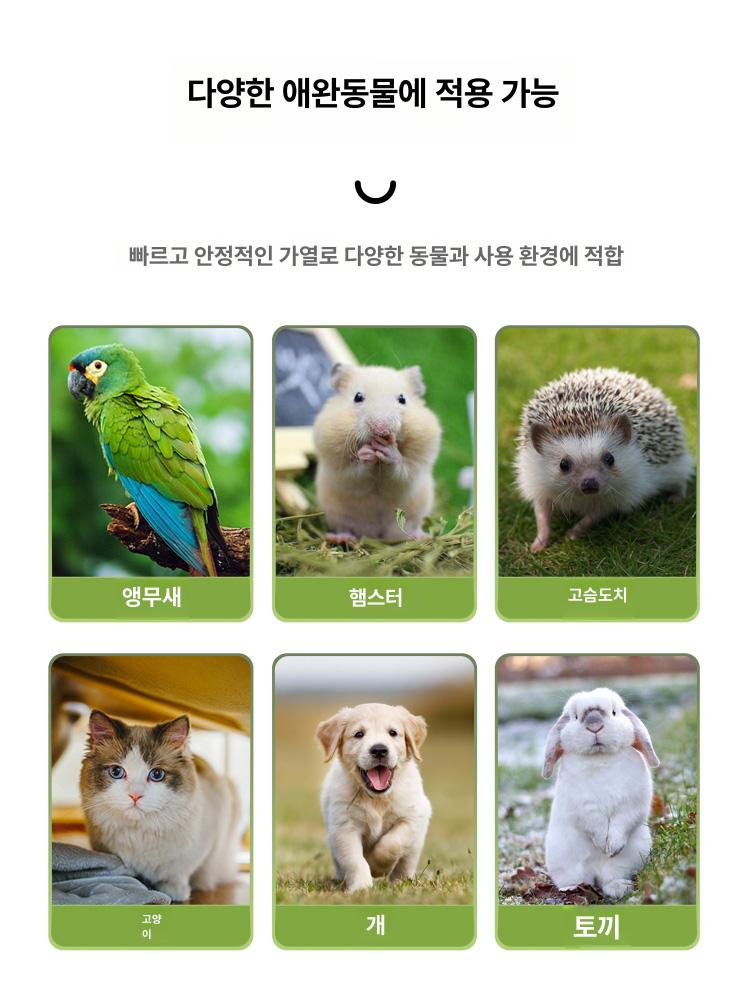 고양이 난로 강아지 애완동물 난방 반려동물 미니 더내구성 소형 새 램프 전구 보온 - 상세 이미지 5