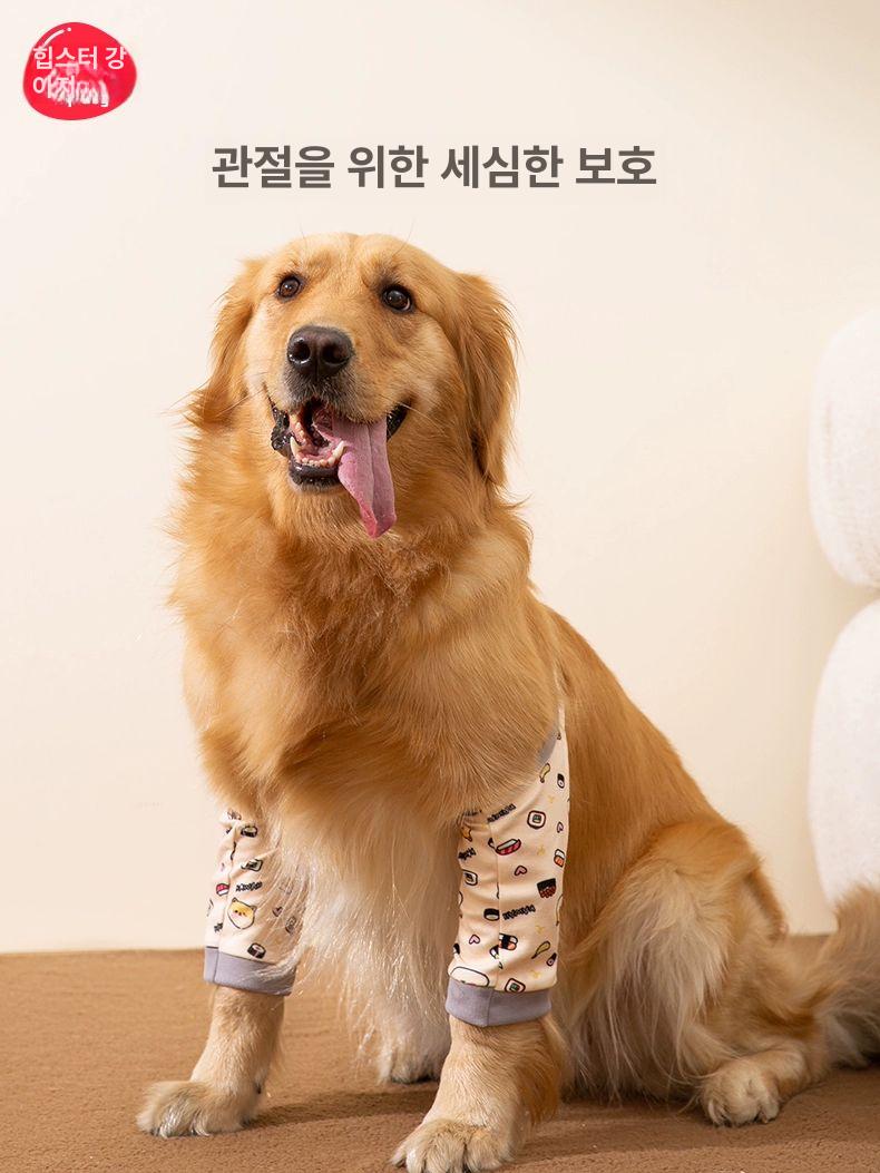 강아지슬개골보호대 대형견 리트리버 척추 애견 탈구 팔꿈치 발꿈치 - 상세 이미지 3