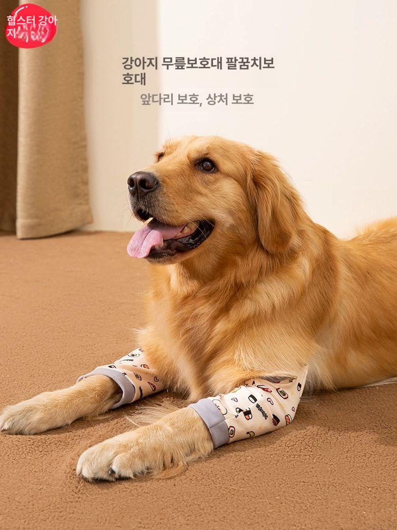 강아지슬개골보호대 대형견 리트리버 척추 애견 탈구 팔꿈치 발꿈치 - 상세 이미지 2