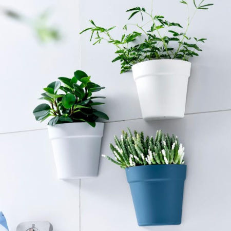 오너클랜 알리바니스토어 북유럽스타일화분 저수분 홈퍼니싱 심플 벽걸이 화분 3개입