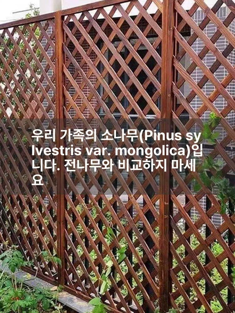 테라스 가림막 휀스 나무울타리 사생활보호 베란다 난간