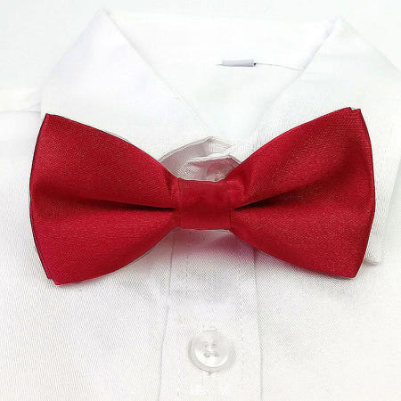 알리바니스토어 리본넥타이 나비타이 나비 넥타이 10개 연주회 행사 파티 리본 보타이