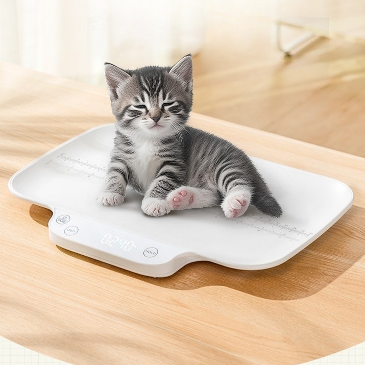 고양이 체중계 강아지 반려동물 저울 가정용 소형 소형 15kg - 상품 이미지