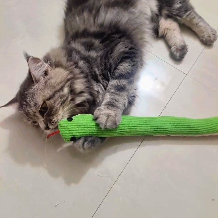 고양이 강아지 비닐 뱀 장난감 인형 쿠션 놀이 반려동물 애완동물 애완견 강아지 용품 인형 이미지 8