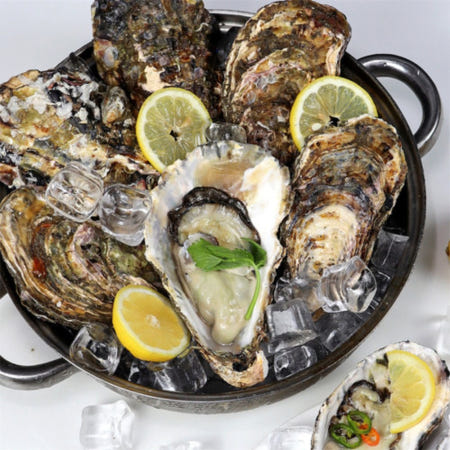 ALOHA-STORE 삼배체굴 1kg 석화찜 통영석화 굴찜