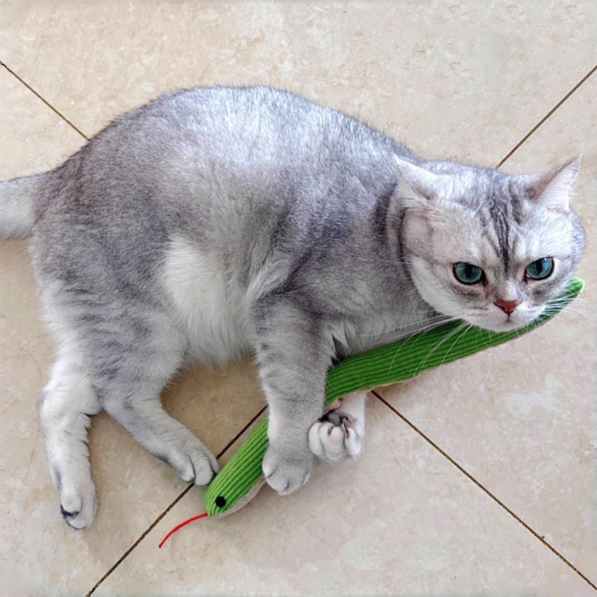 고양이 강아지 비닐 뱀 장난감 인형 쿠션 놀이 반려동물 애완동물 애완견 강아지 용품 인형 - 상품 이미지