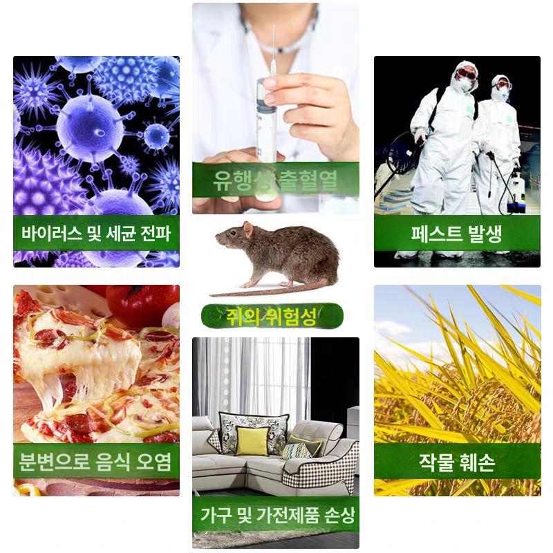 쥐 포획 덫 마우스 철망 전자동 트랩 쥐잡는 퇴치 두더지 담요 폐달식 케이지 잡기 - 상세 이미지 4