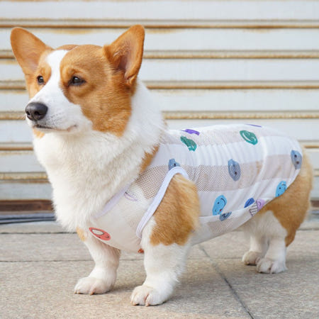 알리바니스토어 여름의류 쿨티 반련동물 여름 고양이 티셔츠 강아지 메쉬 나시 2XL