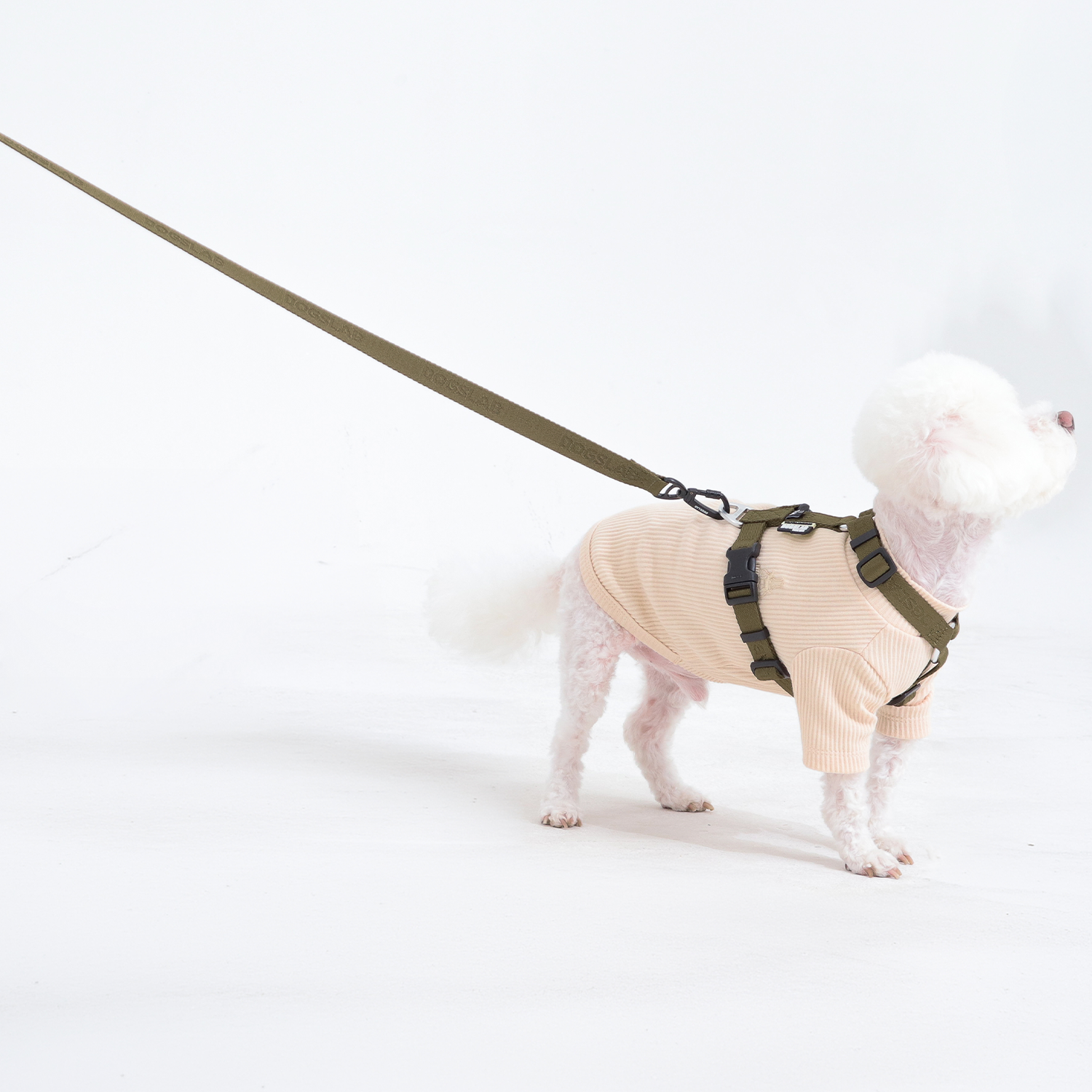 독스랩 강아지 리드줄 핸즈프리 산책줄 잠금후크 소형견 대형견 클래식 15mm 1.8M 이미지 6