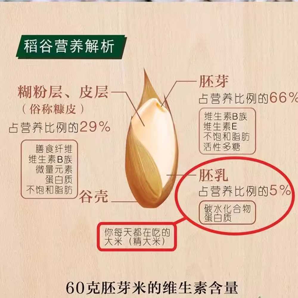 가정용 정미기 백미 탈곡 전자동 용 배아 탈피 제분 기계 입문형 - 상세 이미지 4