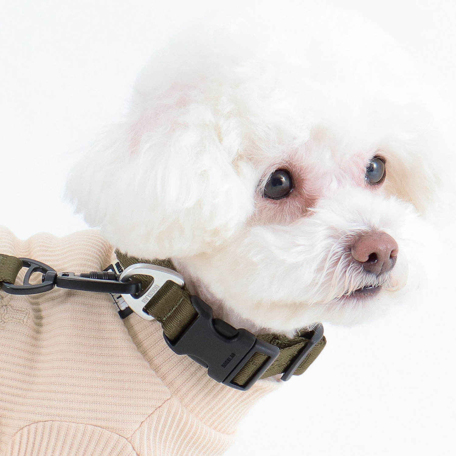 독스랩 강아지 목줄 개 클래식 소형견 중형견 대형견 반려견 XXS - 상세 이미지 5