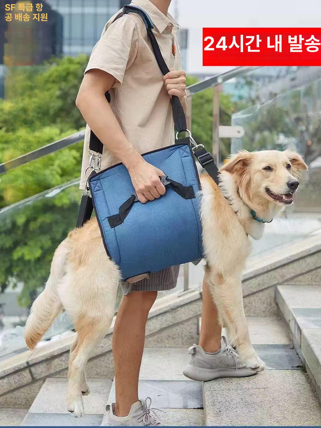 노견 보조기구 하네스형 보조 반려견 슬개골 보호 대형견 블루 M 25cm 이상 5.0-10.0kg - 상세 이미지 2