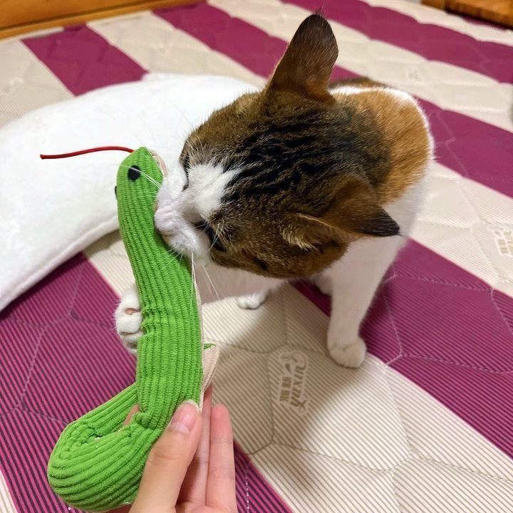 고양이 강아지 비닐 뱀 장난감 인형 쿠션 놀이 반려동물 애완동물 애완견 강아지 용품 인형 이미지 7